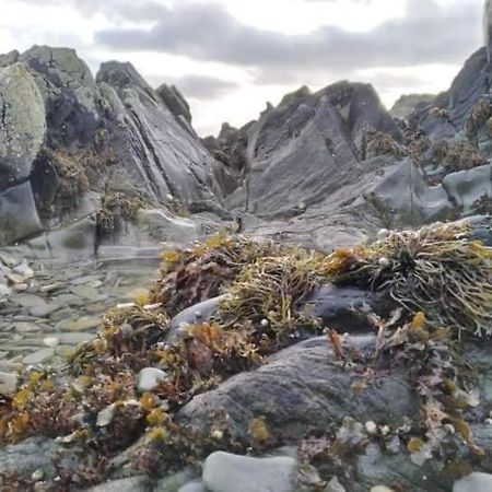 Port Lodge Northern Ireland Portaferry Buitenkant foto